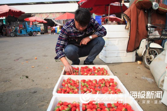 枣庄草莓今日价，太原草莓价格今日价