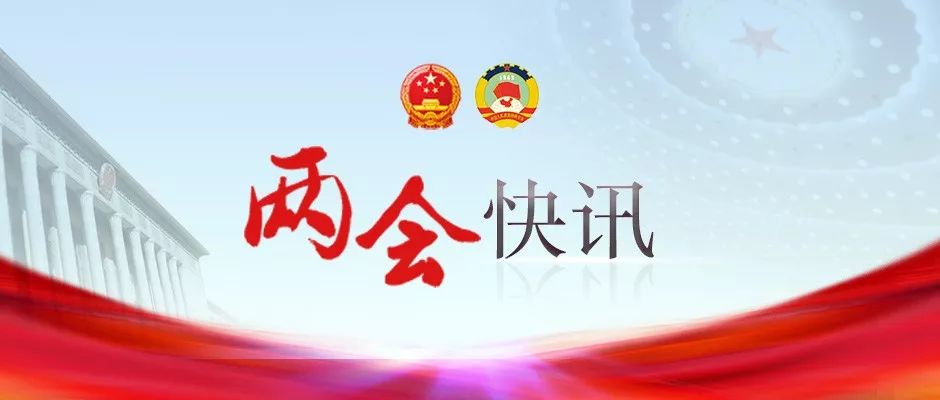 开幕式直播(习近平等出席十三届全国人大二次会议开幕会（直播）)