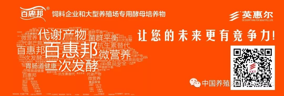 今日广东惠州市猪价「惠州市今日慈善会」