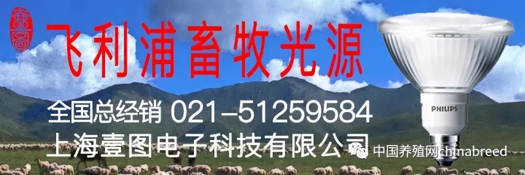 今日广东惠州市猪价「惠州市今日慈善会」