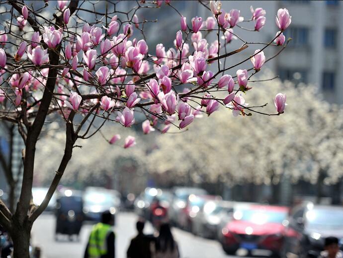 大变天！先30℃后10℃ 这样的春天你准备好了吗