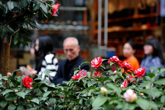 大变天！先30℃后10℃ 这样的春天你准备好了吗