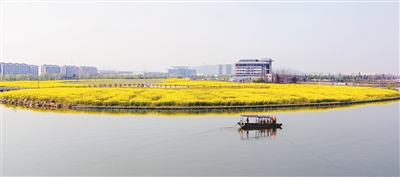 水光潋滟晴方好 湘湖又是花锦时