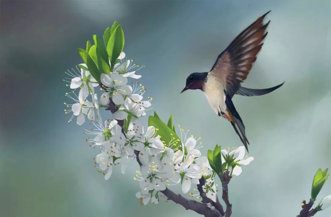 樱花烂漫几多时？| 10首怦然心动的樱花诗