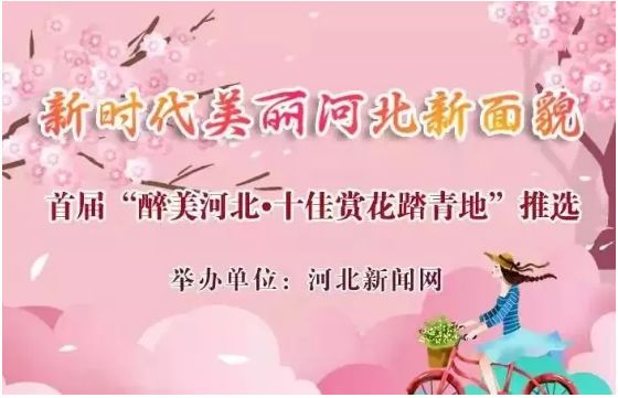 有编制+安家费+购房补贴!河北教师招聘最新岗位表来了,快报名