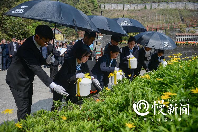 树葬、花葬、塔葬……这些生态殡葬方式你知道吗？