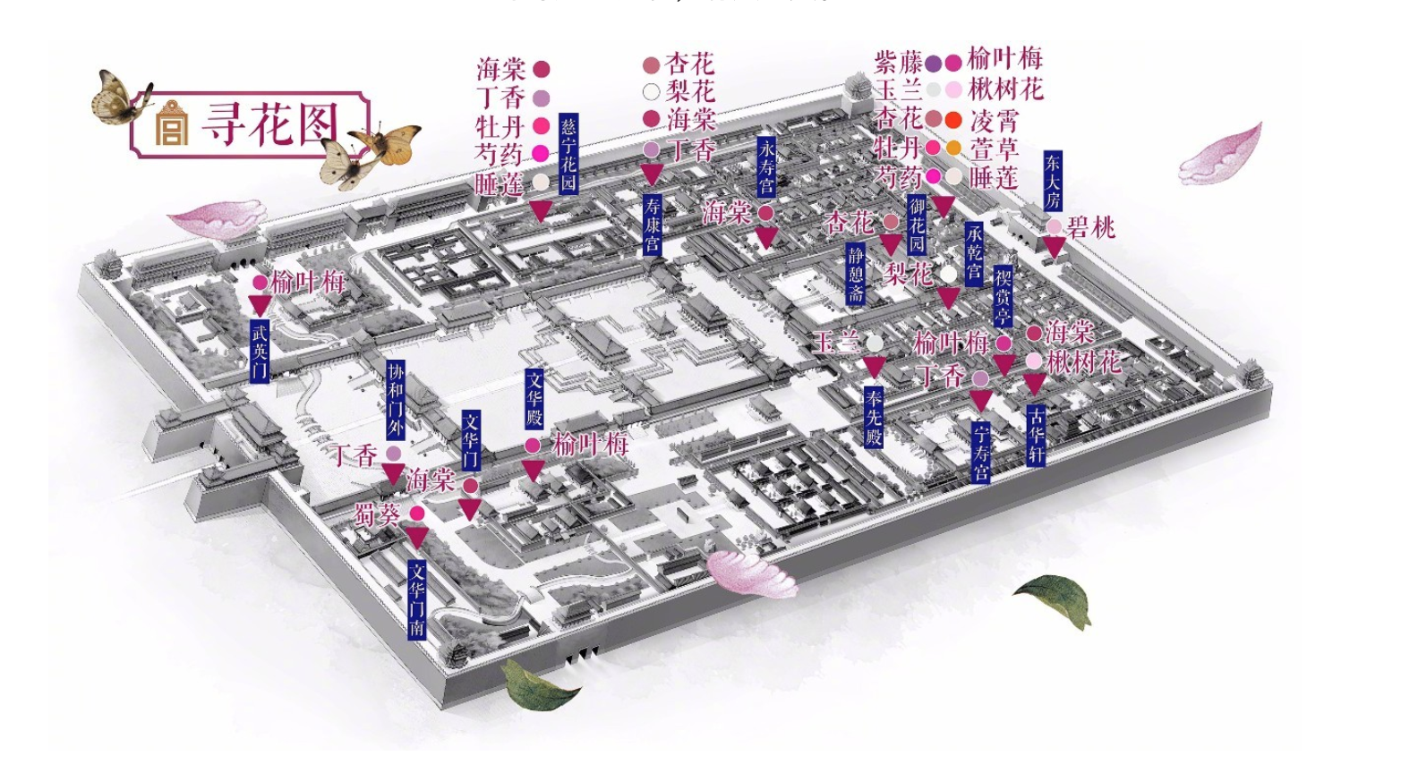 草长莺飞时 故宫看花去