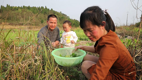 美食丨永州艾叶粑粑：留住春天的味道