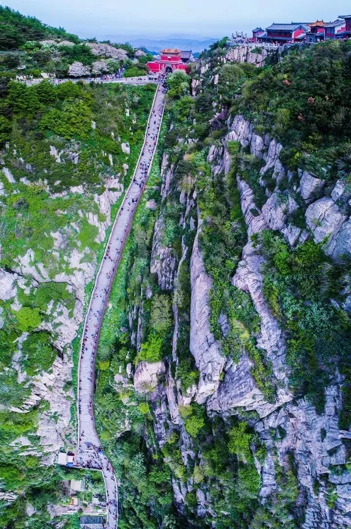 泰安奥运会火炬手有哪些（「新歌首发」泰山挑山工独有的bgm，你听过吗？）