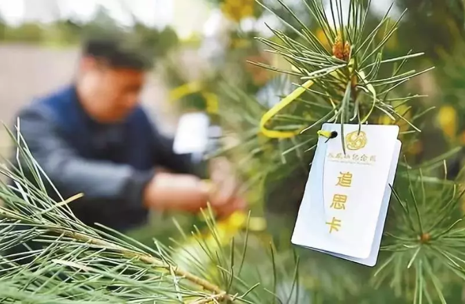 清明时节雨纷纷，一束鲜花祭故人