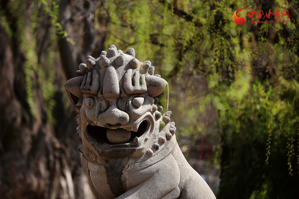 寻芳兰州｜一树花开最知春 兰山花海半山红