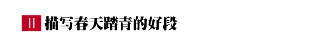 描写春天踏青的好句/好段/好诗句