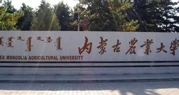 2019内蒙古自治区大学排名已出炉！你的母校跻身前三没？