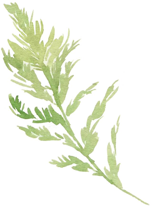 燃爆了！最近枞阳县浮山中学学生的一篇文言作文刷爆朋友圈