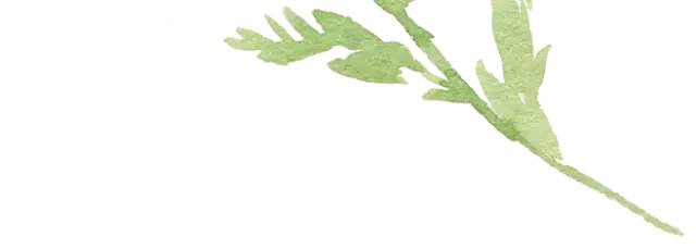 燃爆了！最近枞阳县浮山中学学生的一篇文言作文刷爆朋友圈