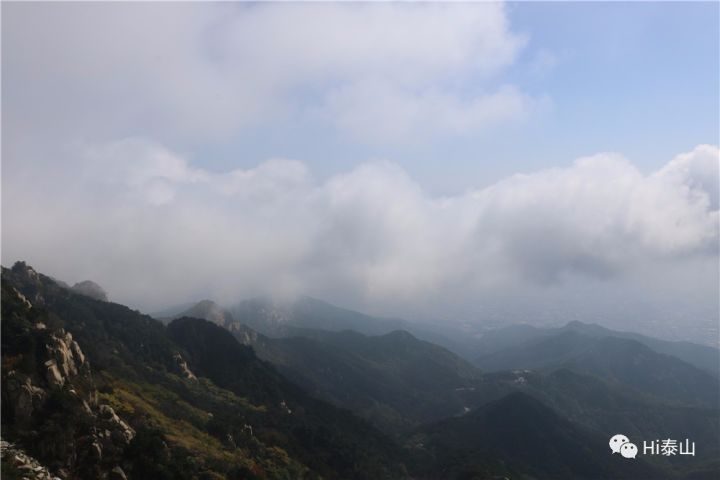 雨中登泰山，是烟是雾，兴致盎然