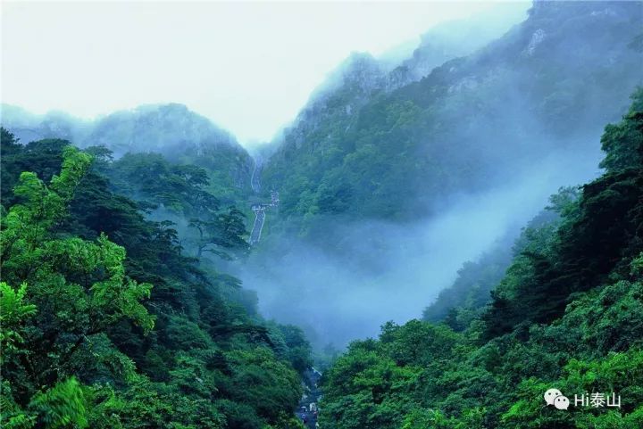 雨中登泰山，是烟是雾，兴致盎然