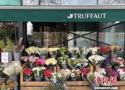探訪法國大型園藝連鎖市場：園藝產業全方位發展
