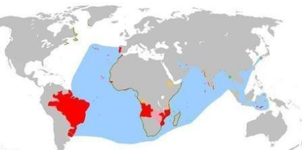 西班牙葡萄牙为什么衰落（历史上盛极一时葡萄牙帝国是怎么衰落的 原因揭秘）