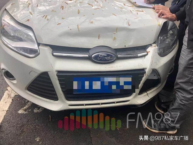 突发！福州女司机坐进共享汽车一顿神操作，二十年榕树被拦腰撞折！