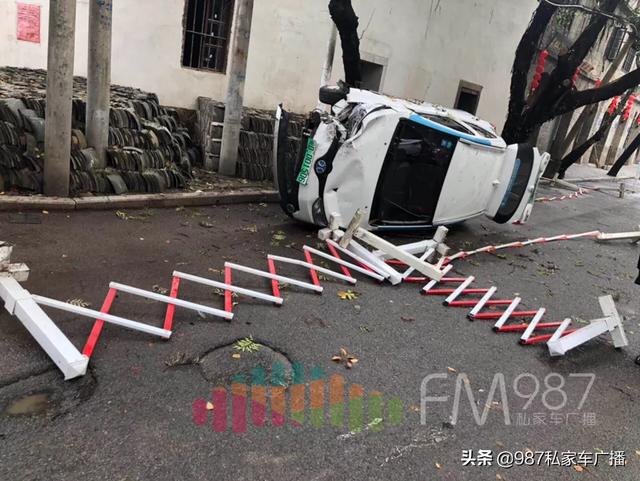 突发！福州女司机坐进共享汽车一顿神操作，二十年榕树被拦腰撞折！