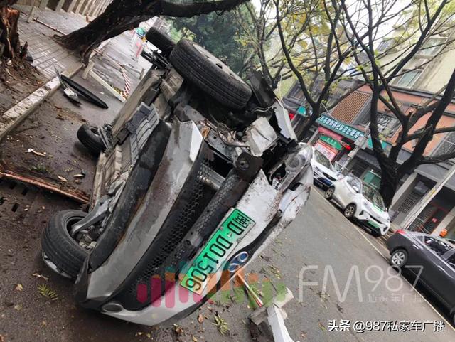 突发！福州女司机坐进共享汽车一顿神操作，二十年榕树被拦腰撞折！