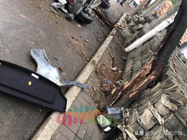 突发！福州女司机坐进共享汽车一顿神操作，二十年榕树被拦腰撞折！