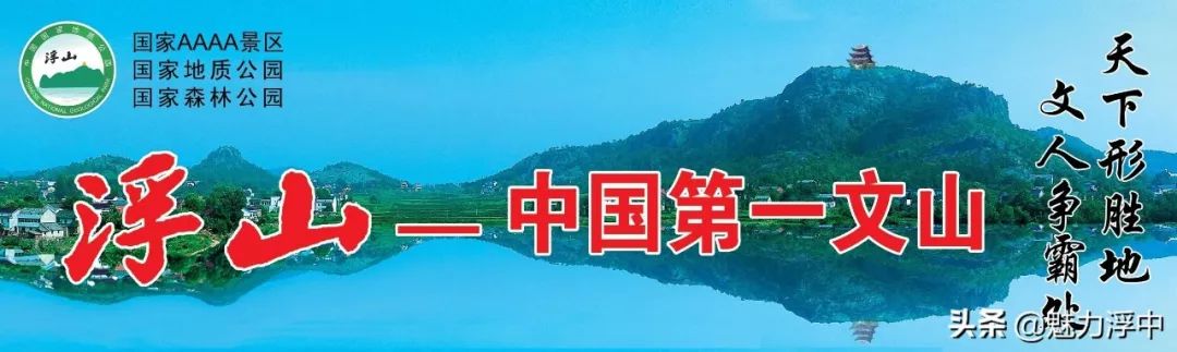燃爆了！最近枞阳县浮山中学学生的一篇文言作文刷爆朋友圈