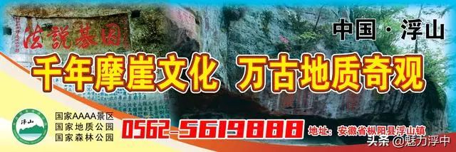 燃爆了！最近枞阳县浮山中学学生的一篇文言作文刷爆朋友圈