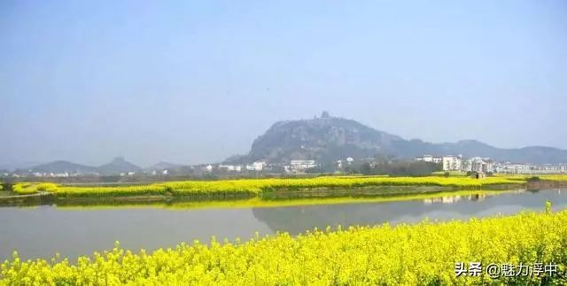 燃爆了！最近枞阳县浮山中学学生的一篇文言作文刷爆朋友圈