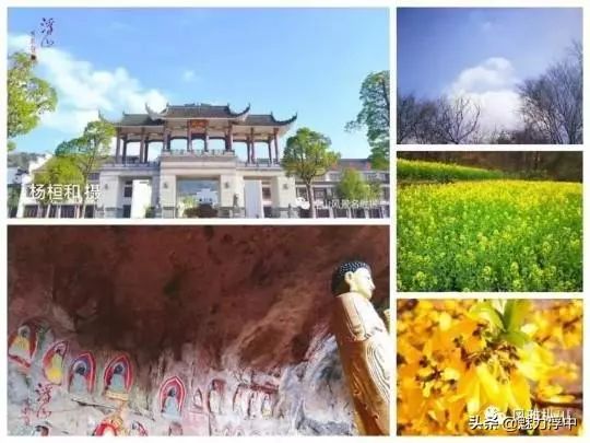 燃爆了！最近枞阳县浮山中学学生的一篇文言作文刷爆朋友圈