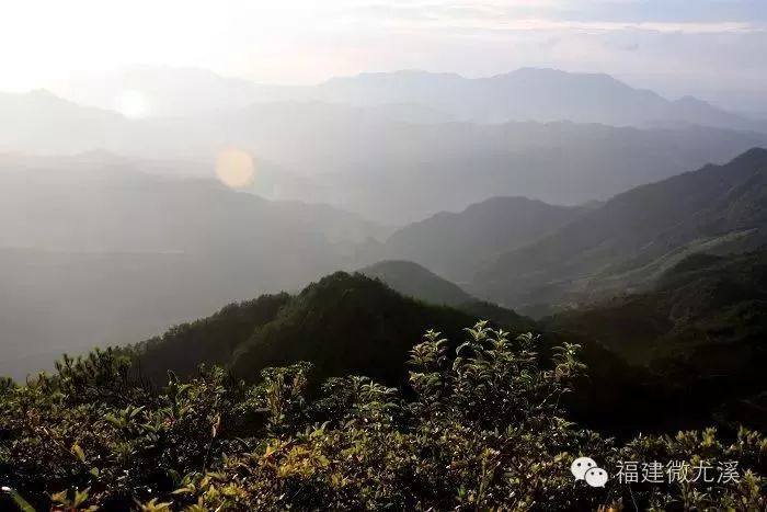 【快看】尤溪千米高峰排行榜，你去过几座？最高山竟然在……