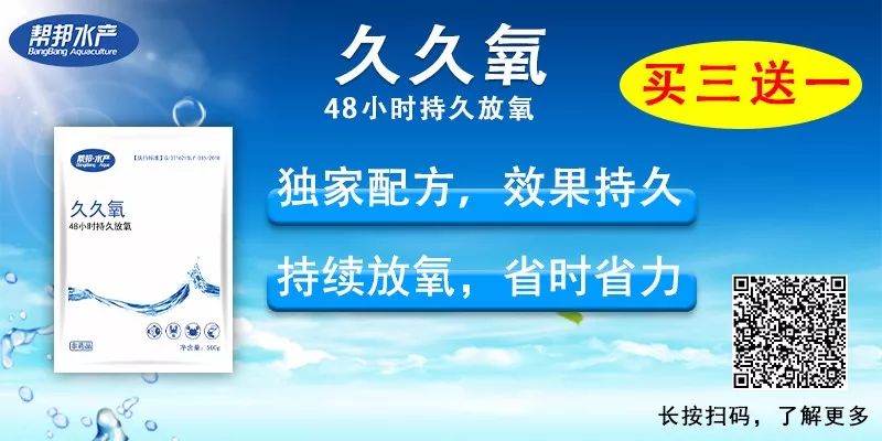 养殖户如何在养殖过程中选择、投放螺蛳