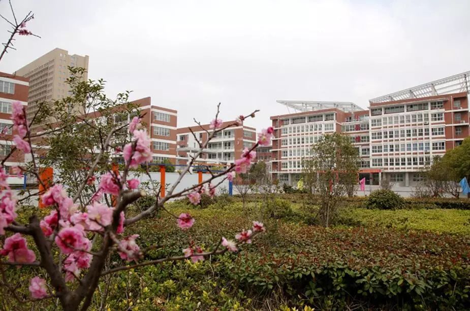 主城区这四所学校将安装监控，全方位全天候！