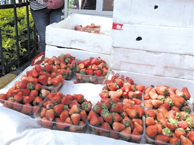 山东枣庄：草莓价格遭遇拦腰砍（图）