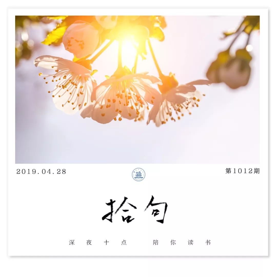 夜晚可以矫情,天亮只能拼命