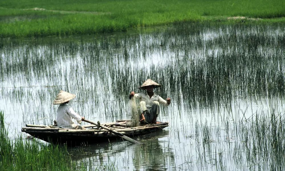 到底什么是湿地呢（关于湿地的几个小知识）