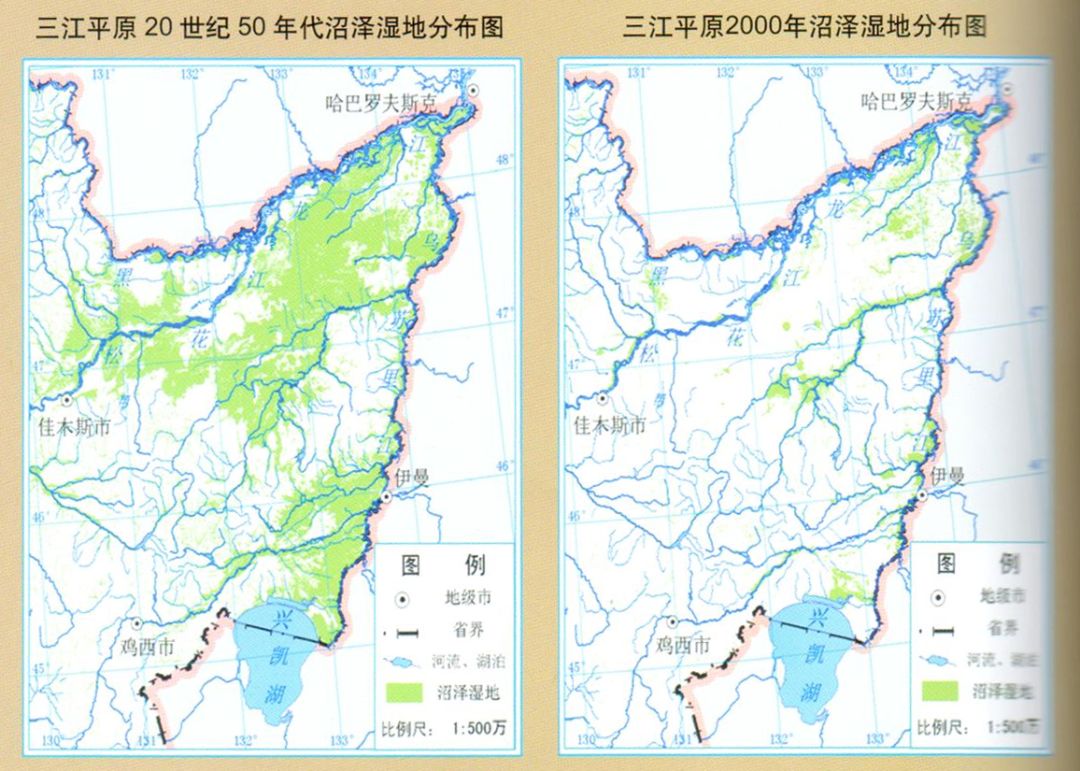 到底什么是湿地呢（关于湿地的几个小知识）