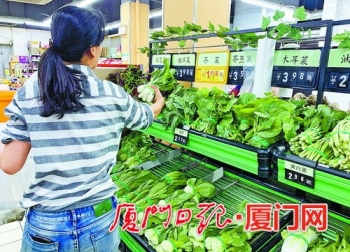 今日厦门蔬菜价格（今日武汉白沙洲蔬菜价格）