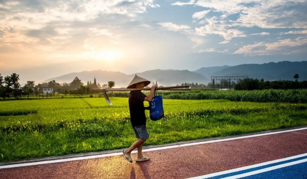 安宁哪里看世界杯最安逸(品诗意、赏花海、玩乡村、享安逸……五一玩转闲适成都)