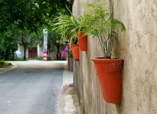 安宁哪里看世界杯最安逸(品诗意、赏花海、玩乡村、享安逸……五一玩转闲适成都)