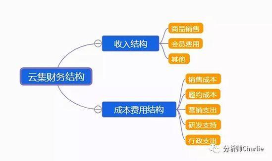 云集深度剖析：一个复杂的综合体