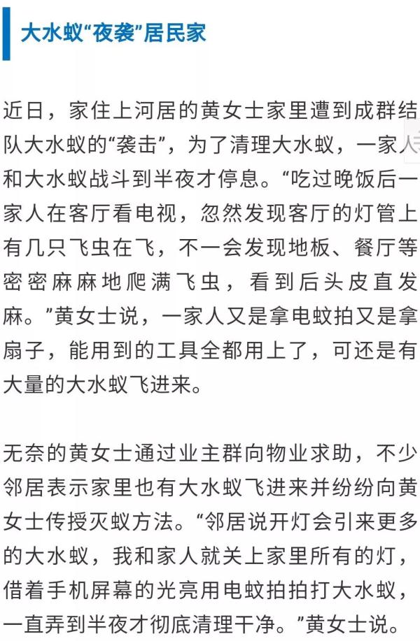 家里有飞蚂蚁怎么办能除根（家里有会飞的黑蚂蚁怎么办能除根）-第1张图片-昕阳网