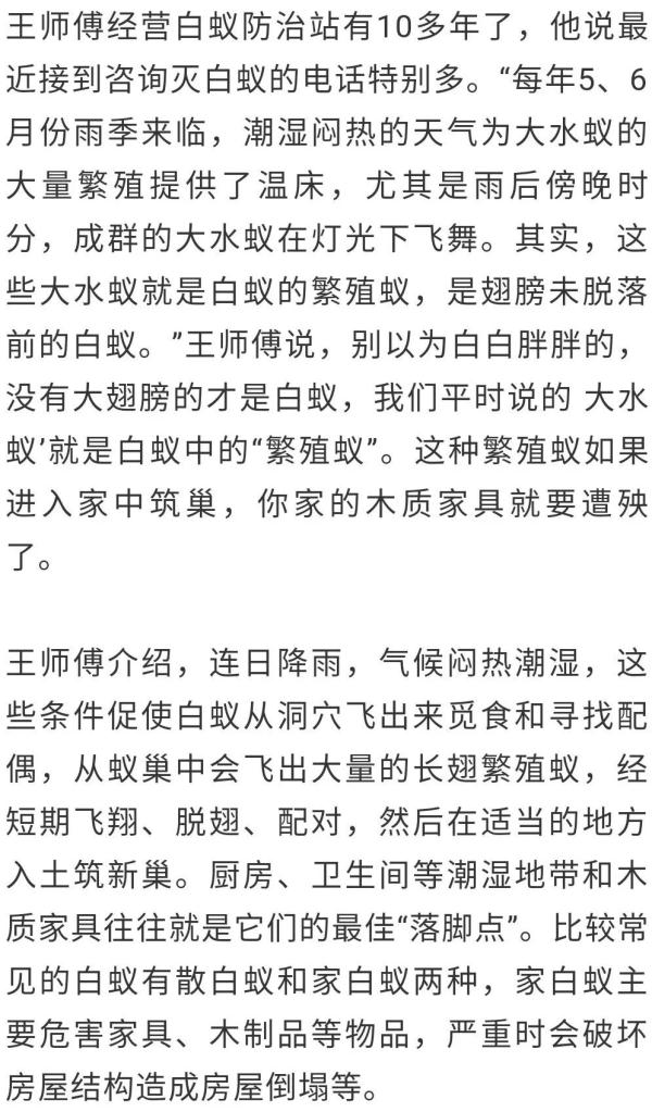 消灭白蚁最简单的办法（消灭白蚁简单有效）-第3张图片-易算准