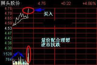 写给在中国股市亏损的散户：耐心比什么都重要，长期持有，反复做T