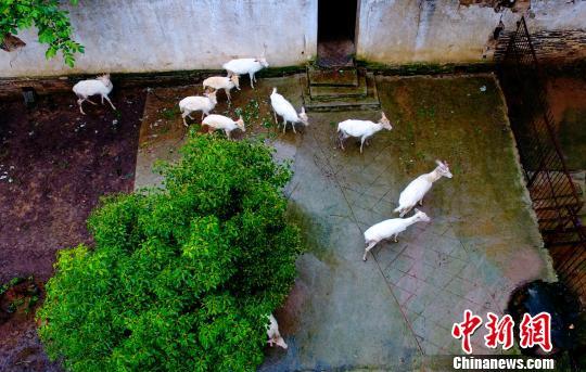 四大书院之首的白鹿洞书院是在（四大书院之首的白鹿洞书院在哪个城市）-第4张图片-华展网