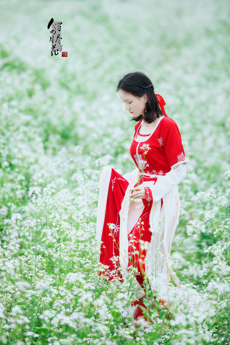 《人间四月芳菲尽》