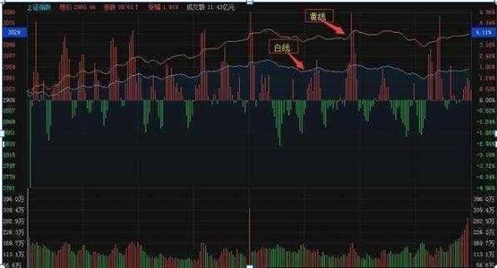 今天终于有人把“分时图”说得一清二楚，我整整读了100遍，太精辟透彻了