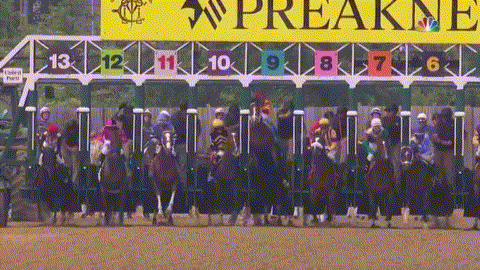 賽馬甩飛騎手狂奔（絕了！美國賽馬甩飛騎手 一路狂奔沖過終點（圖））