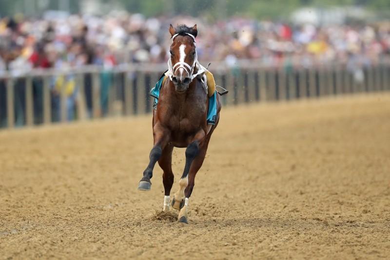 賽馬甩飛騎手狂奔（絕了！美國賽馬甩飛騎手 一路狂奔沖過終點（圖））